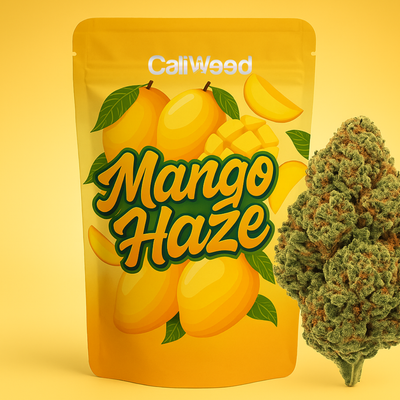 Mango Haze CBD