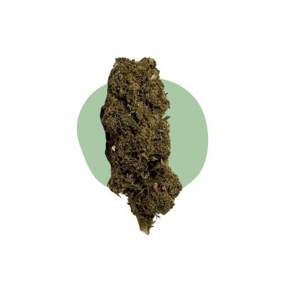 Muistinmenetys 10-OH-HHC