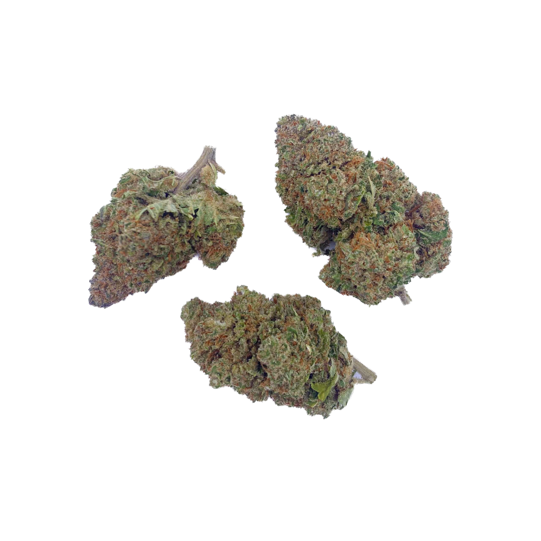 Partiotyttökeksit CBD