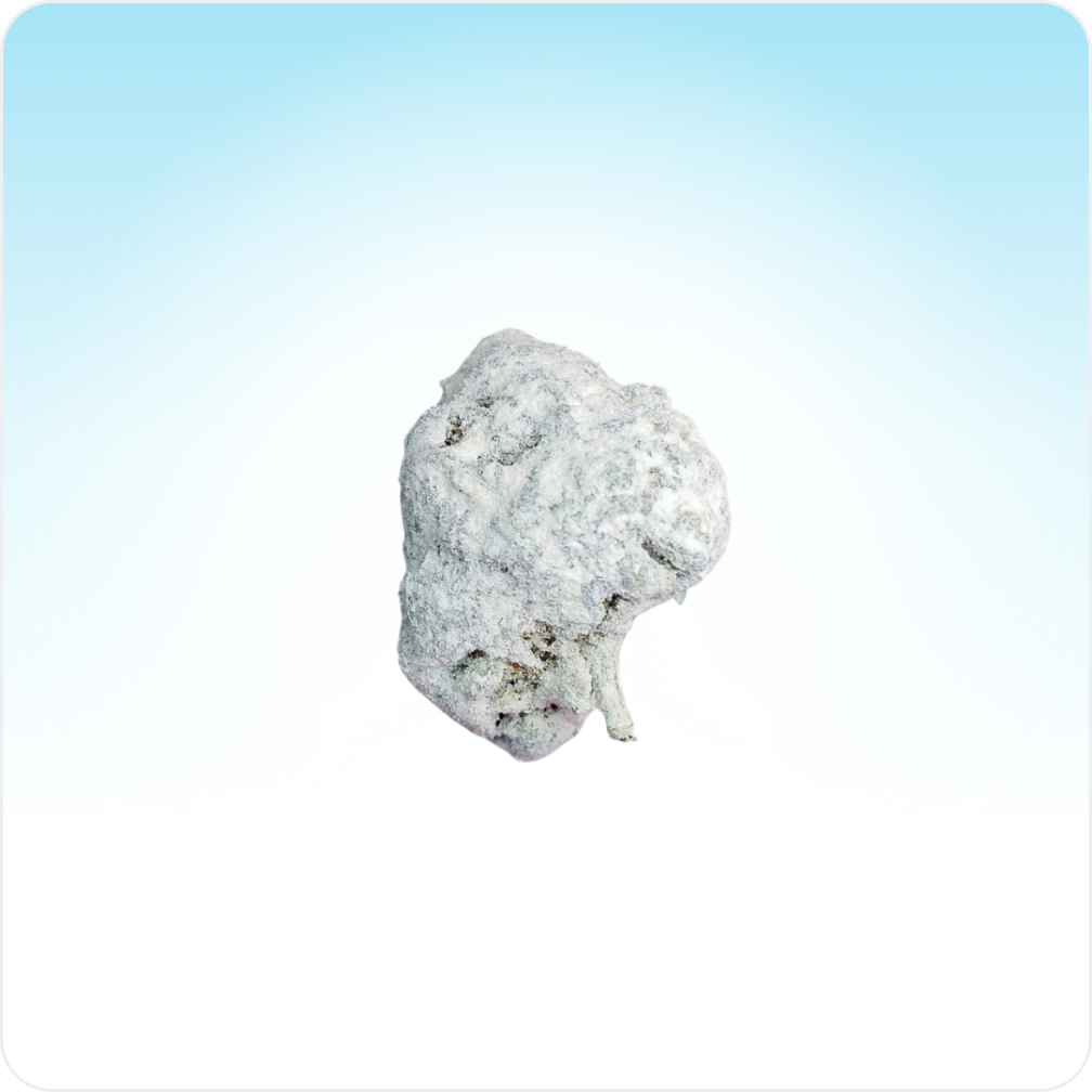 Ice Rock pienet silmut