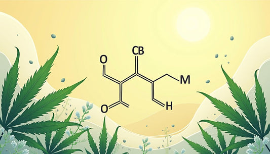 KANNABIDIOLI MAFRENCHWEED VALO