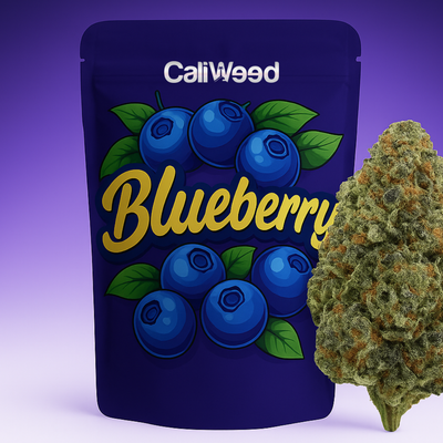 Mustikka CBD