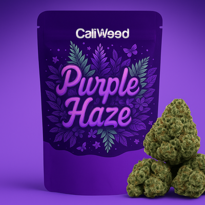 Purple Haze Pienet silmut