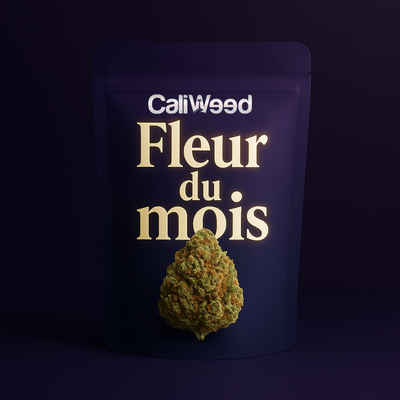 Kuukauden kukka CBD