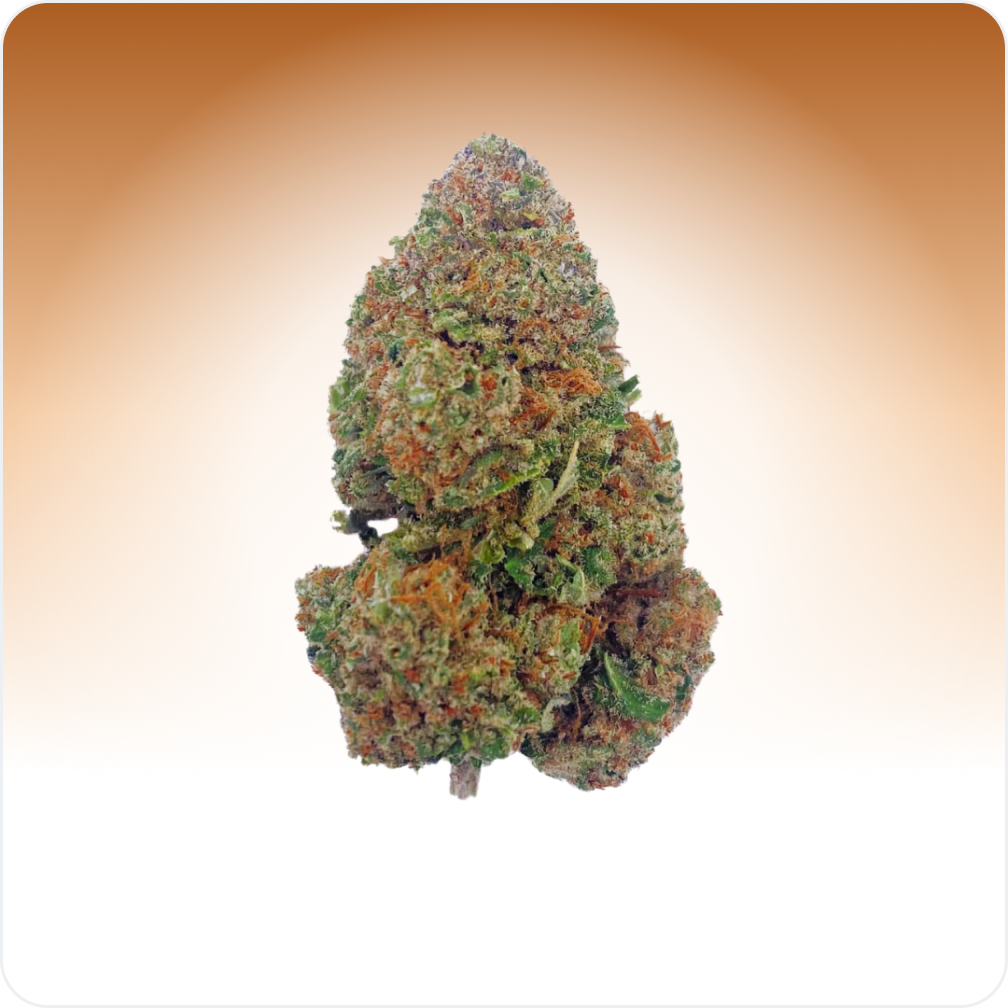 Partiotyttökeksit CBD
