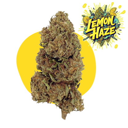 Lemon Haze CBD