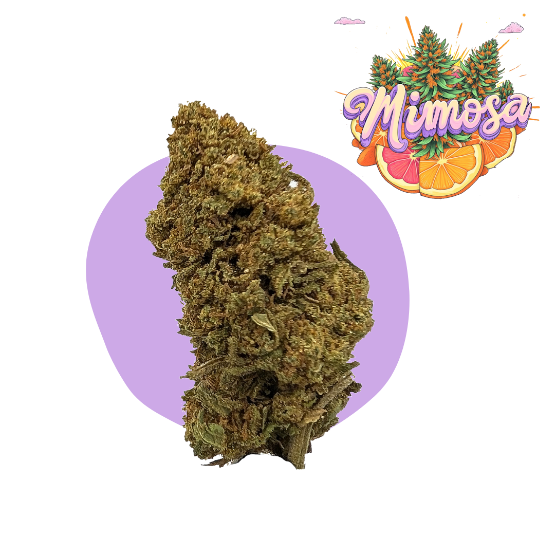 Mimosa CBD