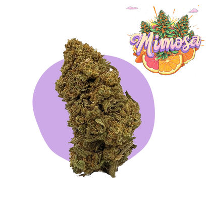 Mimosa CBD