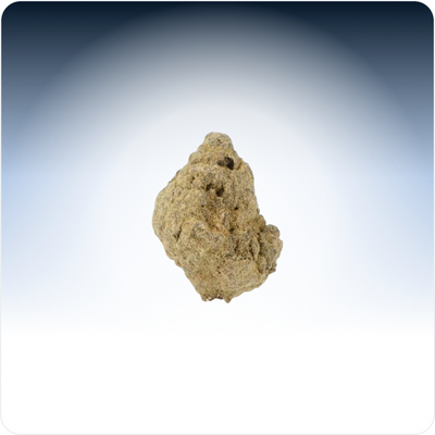 Moonrock pienet silmut