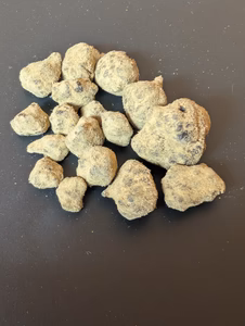Kuvakatsaus