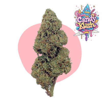 Candy Kush CBD